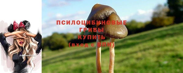 дживик Баксан