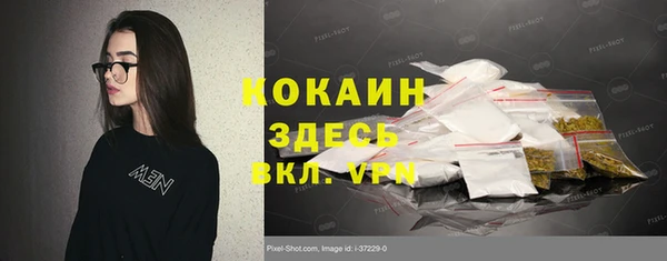 бошки Слюдянка