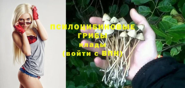стаф Балахна